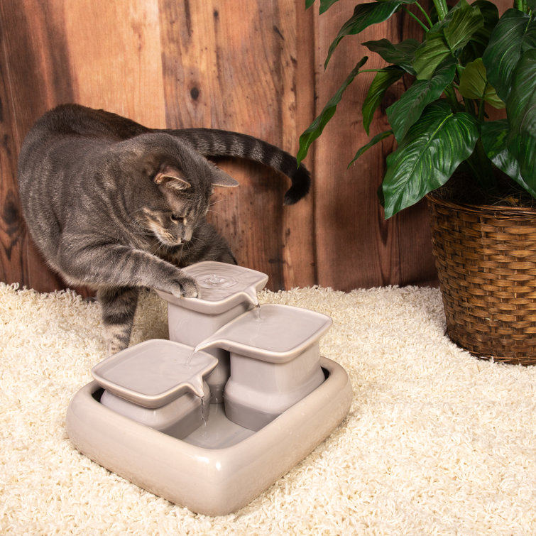 MiaustoreCat Water Fountain, 115Oz & Reviews Wayfair.ca